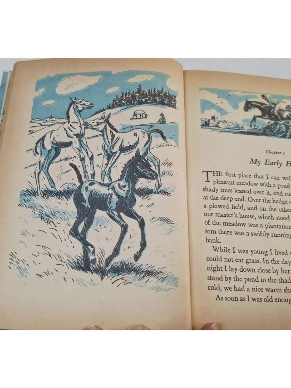 Whitman Publishing this 1955